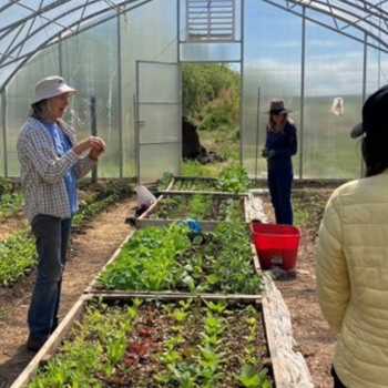 thumbnail of workshop participants in the greenhouse