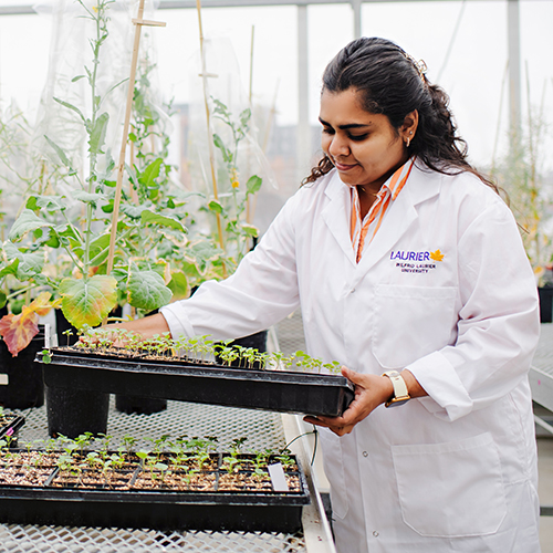 Image - Inspired Research in Laurier's 2024/25 Annual Research Report