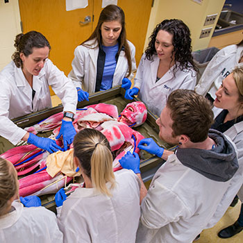 Laurier is the first university in Canada to use synthetic, education-grade cadavers in human anatomy classes.
